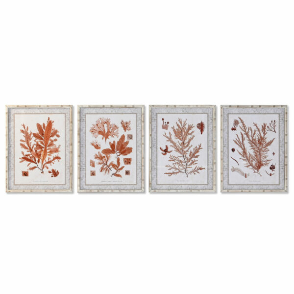 Pintura DKD Home Decor 50 x 2,8 x 65 cm Coral (4 Peças)